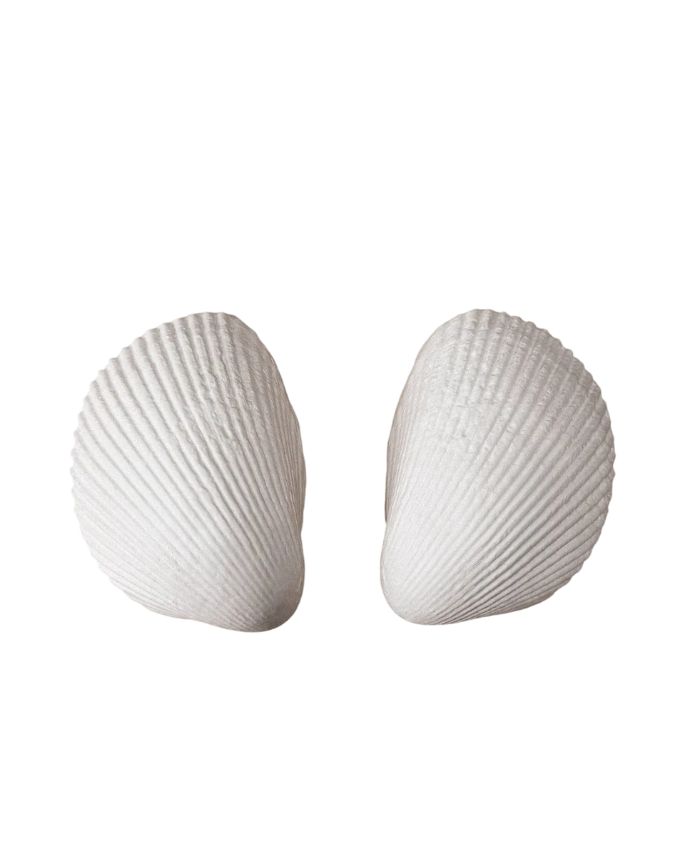 cockle ceramic wall light by Jess Wheeler Studio