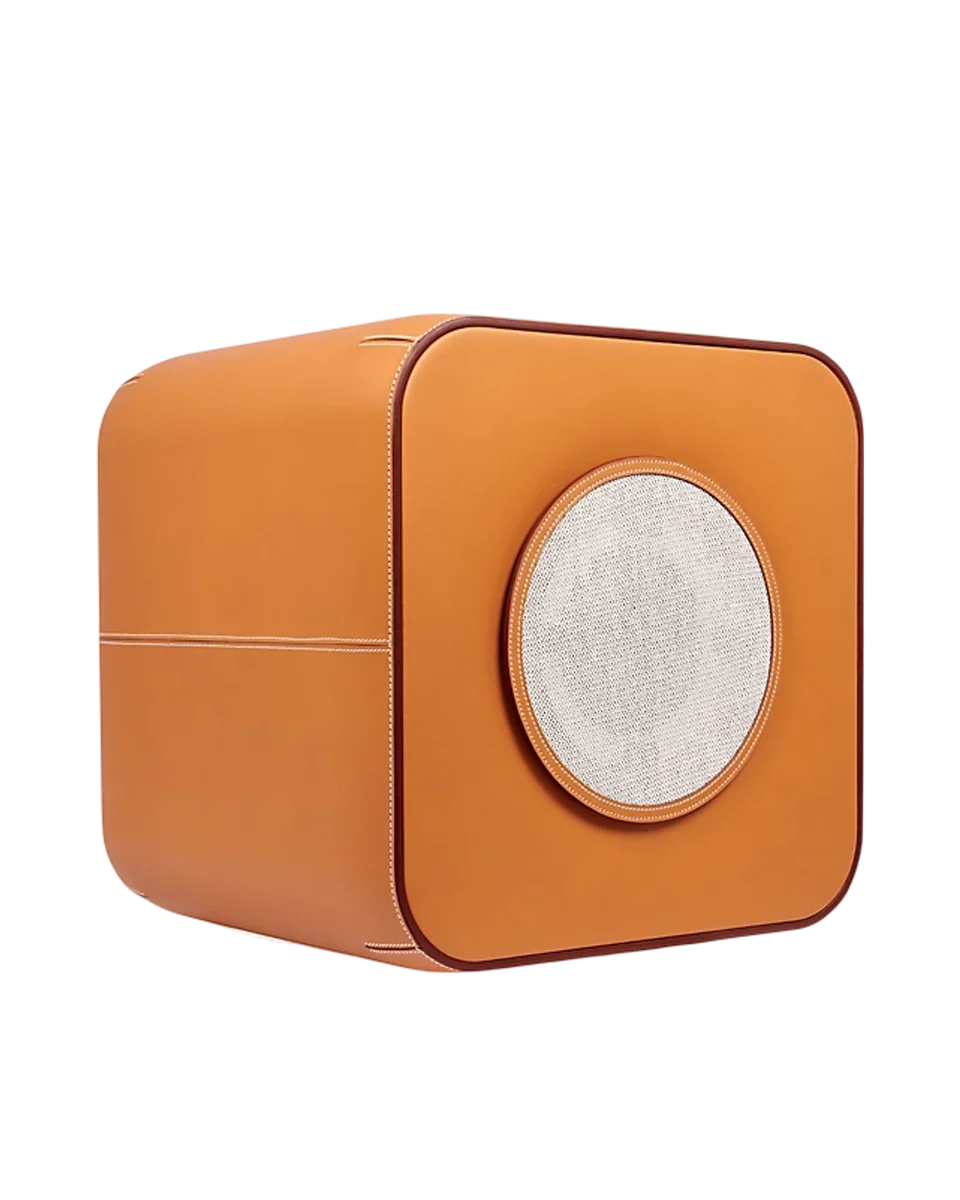 leather connected speaker