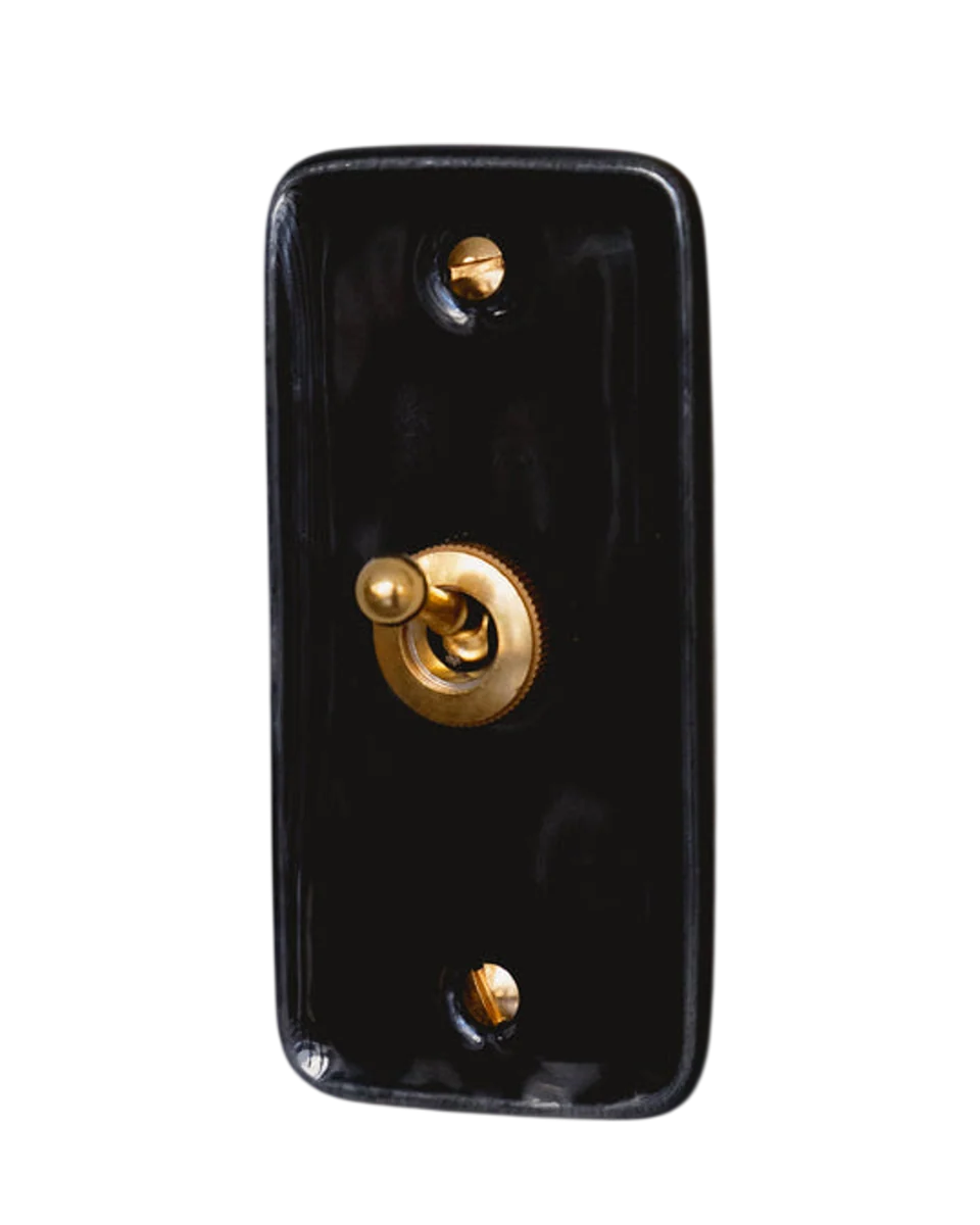 porcelain single light switch by Alix D. Reynis