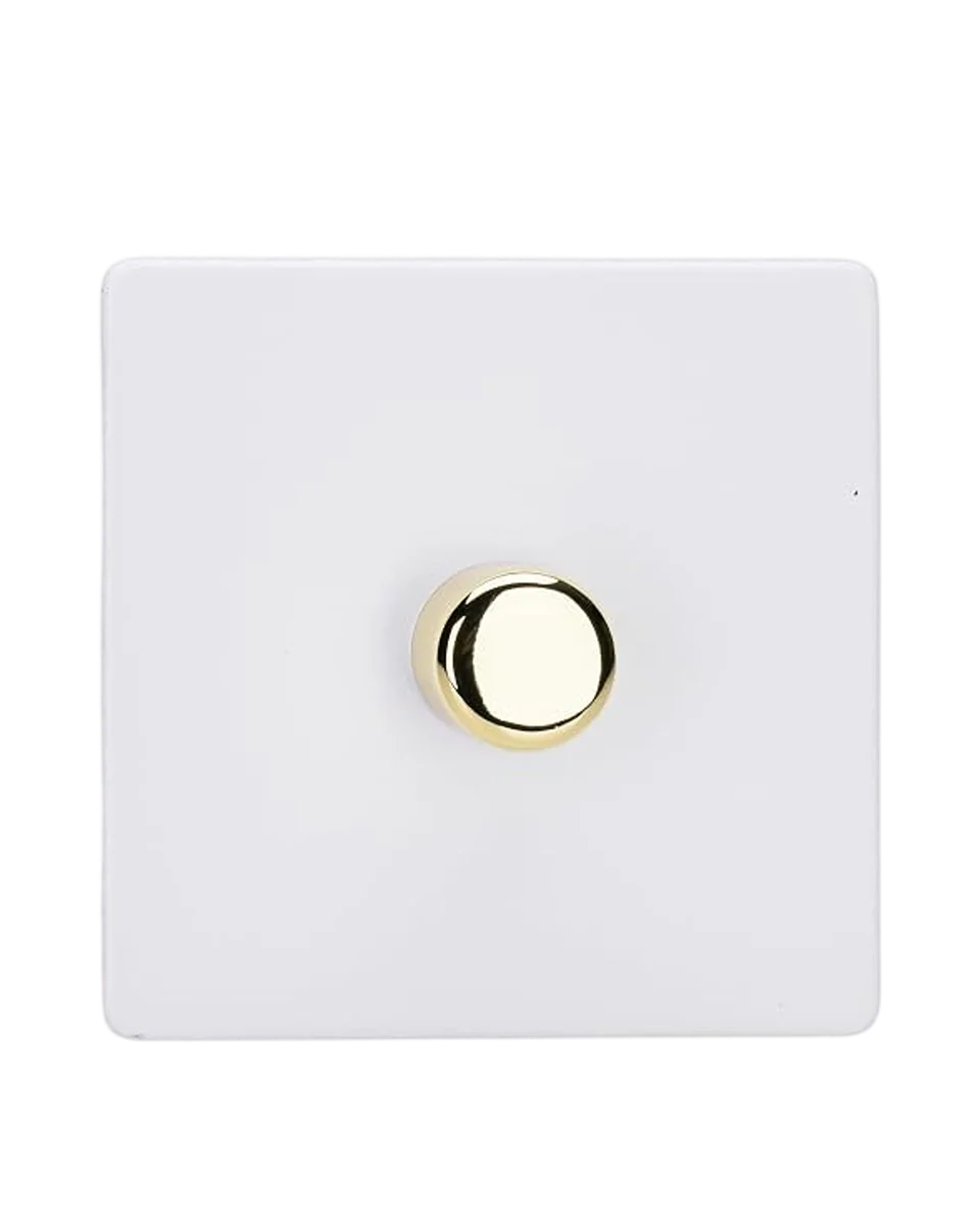 paintable single dimmer switch by Varilight